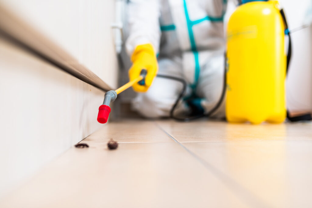Midlothian Cockroach Experts
