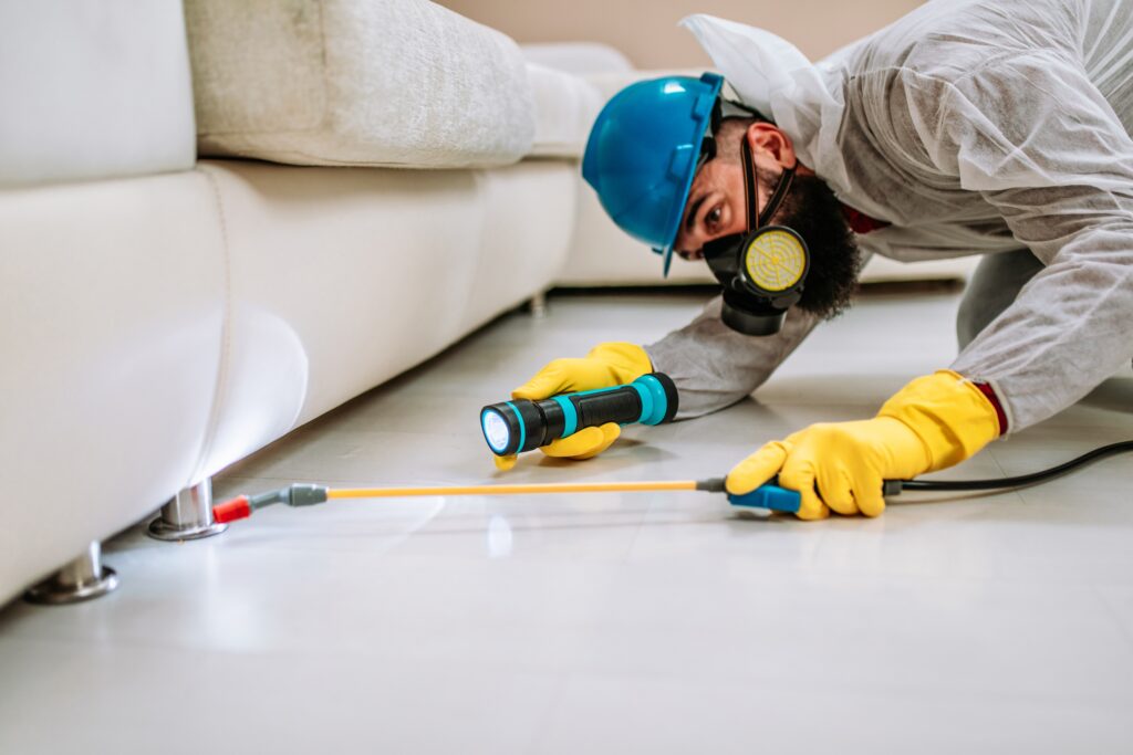 Midlothian Termite Control