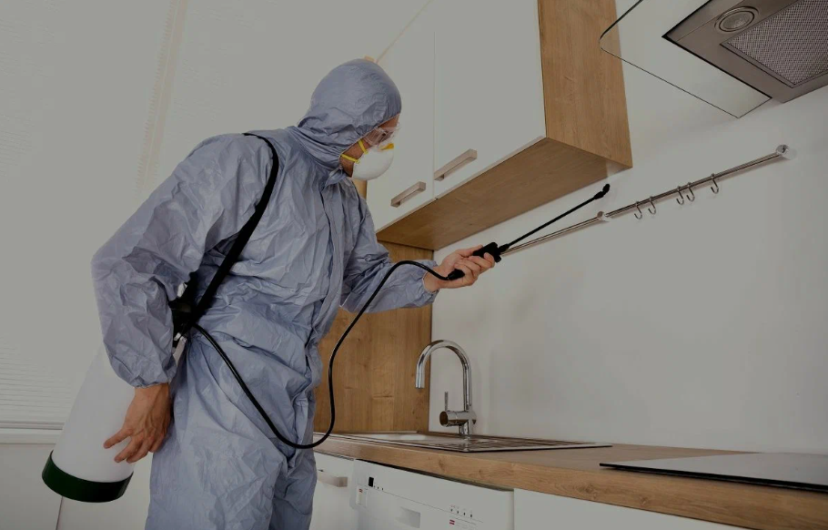 Midlothian pest managment