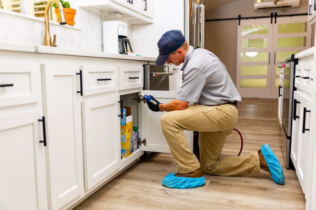 Midlothian xpert pest management